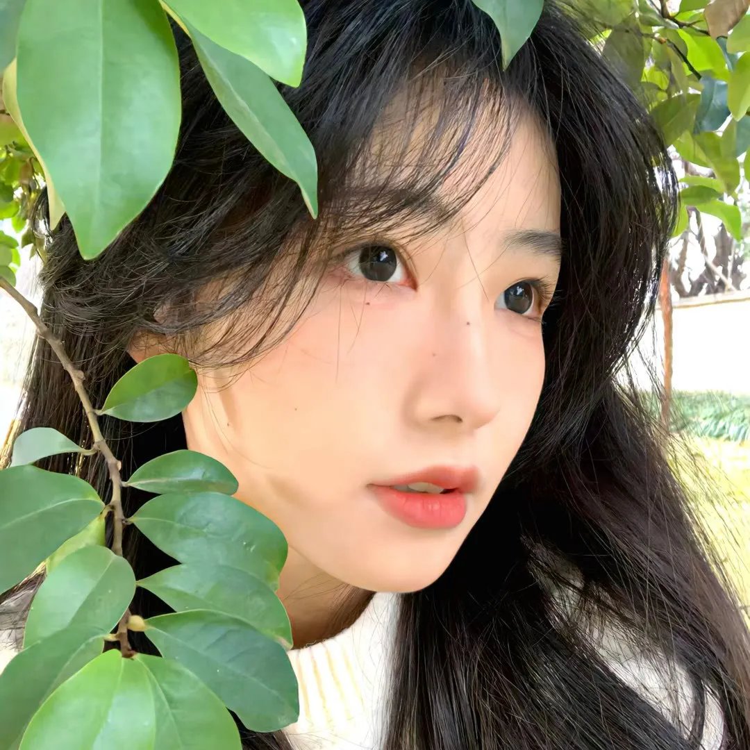我的导演梦